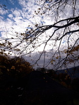 12037b65.jpg