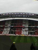 d328368b.jpg