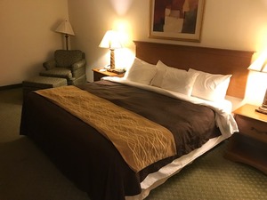 IMG_5785