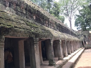 IMG_8917