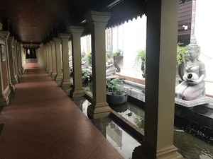 IMG_8880