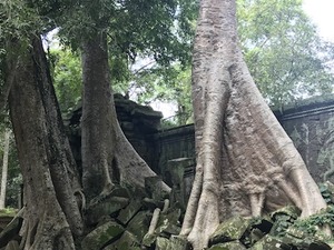 IMG_8913