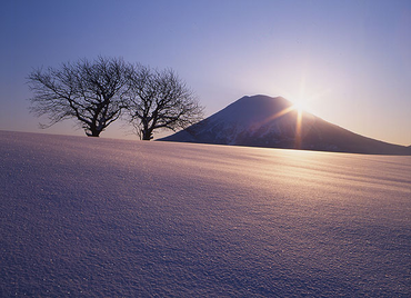niseko