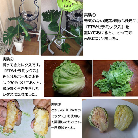 02141313_54decb75ced6c