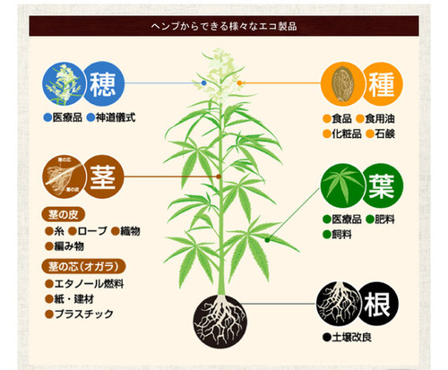 hemp_nyumon_05