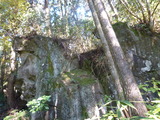 P1010137