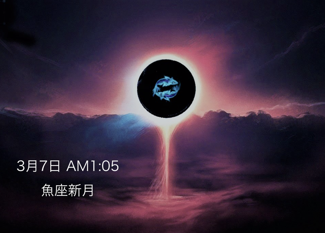 スクリーンショット 2019-03-07 15.48.43