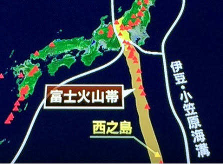o0446032913416181631
