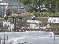 5・26