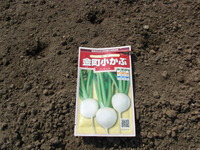 小かぶ5・26