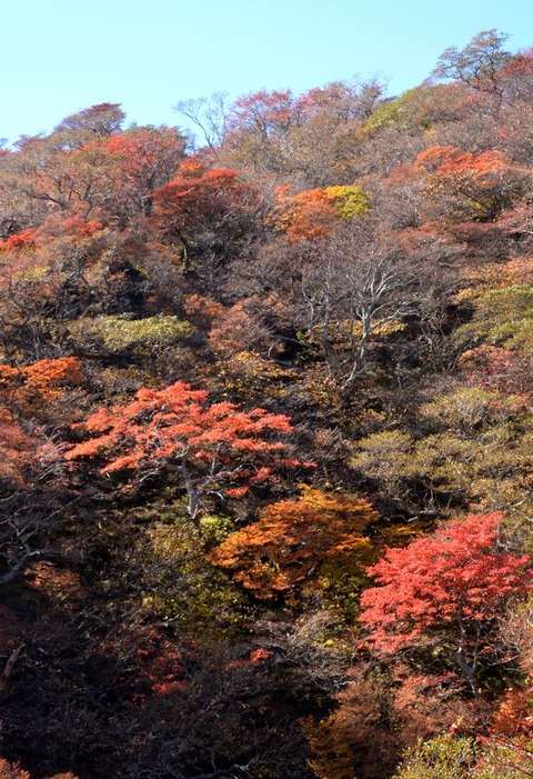 s5DSC_0010