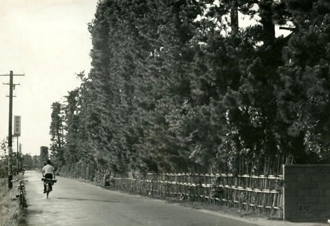 jpg-1