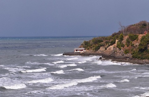 11DSC_2998