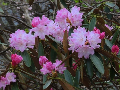 sDSCN0120