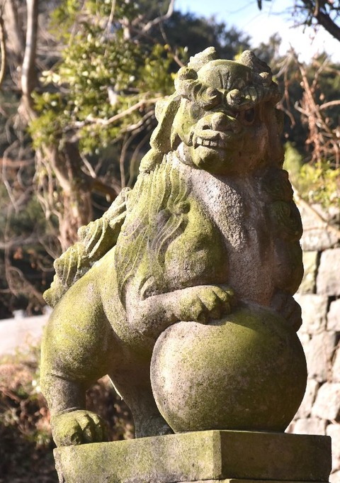 3DSC_2683