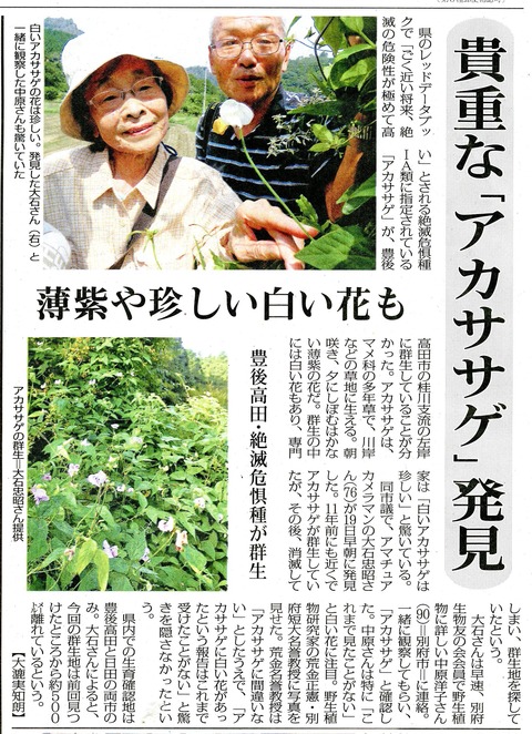 s1毎日img861