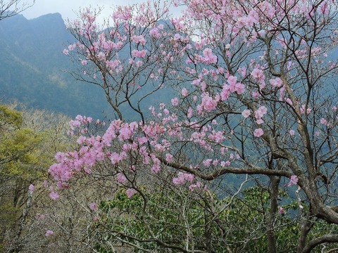 sDSCN0127