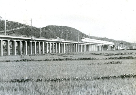 jpg-1