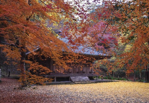 3s富貴寺大堂DSC_0904