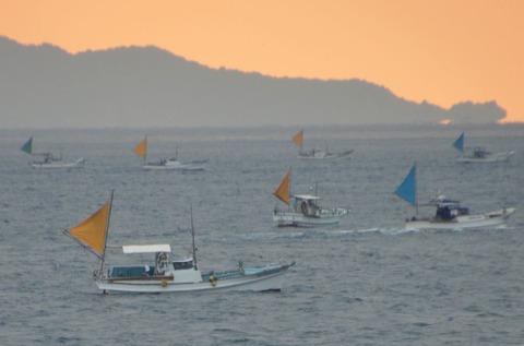 sDSC_5844