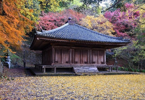 2s富貴寺大堂DSC_0134