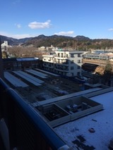 43f3b981.jpg