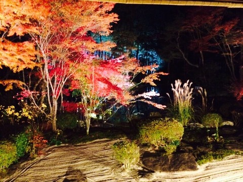 2014-11-24-23-09-13