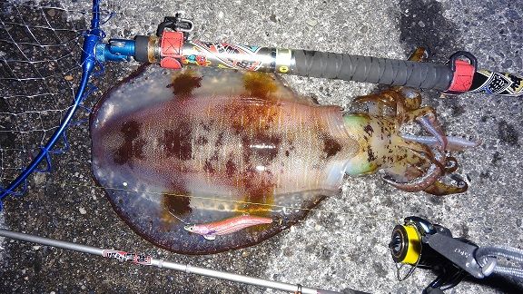 35cm1708g