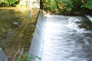 IMGP3036