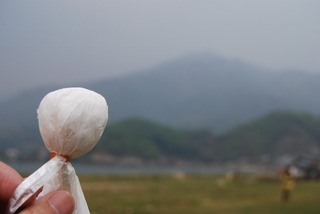DSC_9600 (640x428)