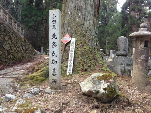 北条家