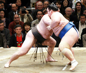 150122十二日目幕内 1059
