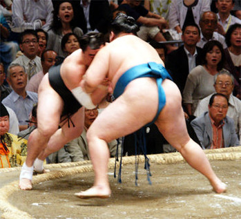 150518九日目幕内別角度 801