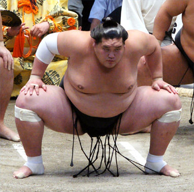 150726千秋楽幕内 764