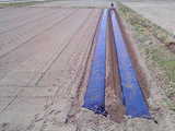 41664fce.jpg