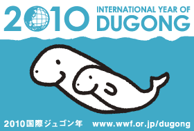 国際ジュゴン年