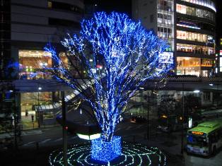 f5202b37.JPG