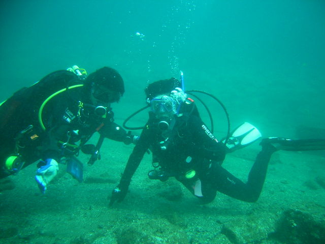 IMAG0118
