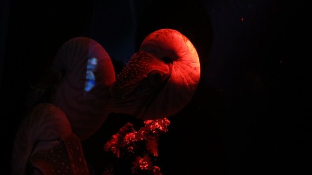 ¥Ç¥£¡¼¥×SP1ÆüÌÜ (6)