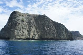 DSC00992