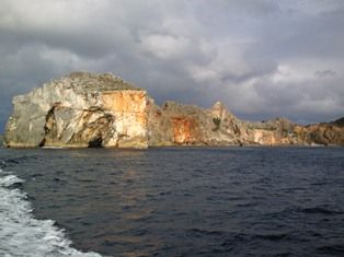 NEC_0048