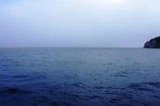 DSC00502