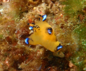 P1300067