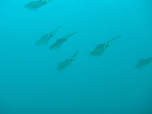 P9151767