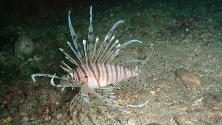P6260997