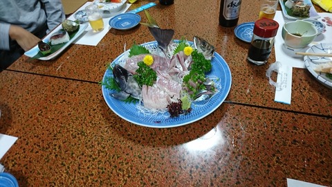 イシダイ、マサバDSC_0084