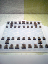 将棋