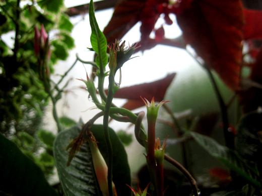 �Ƥβ�04