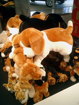 犬小屋