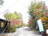 20090723gifu 029